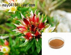 Rhodiola Rosea  Extract