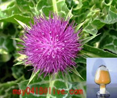 Milk Thistle Extract