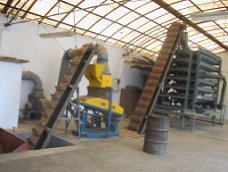 Combined sieving machine for peanut kernel