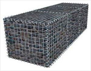 cage mesh 5