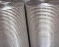 stainless steel welded wire mesh 5