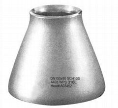 Stainless Steel Reducer