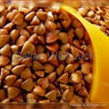 Roasted buckwheat 2