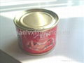 70g canned tomato paste  1