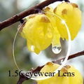 1.56 index Optical Eyewear Resin Lenses