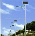 solar street light