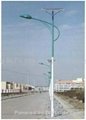 solar street lamp 1