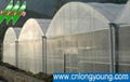 Multi-span Greenhouse 1