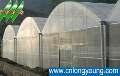 Multi-span Greenhouse