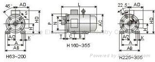 compressor motor bearings