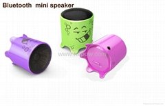 Bluetooth Speaker (HS-S010B)