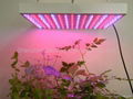 new 80W super decoration plant grow light, horticultural light  1