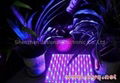 Famous Square High power led plants grow light 80W Agriculture product 2