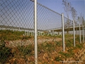 Wire Mesh Fence