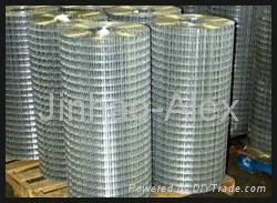 Welded Wire Mesh 4