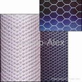 Hexagonal Wire Mesh 2