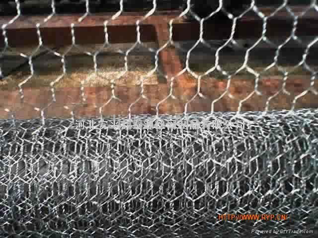 Hexagonal Wire Mesh 3