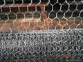 Hexagonal Wire Mesh 3