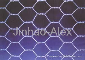 Hexagonal Wire Mesh 4