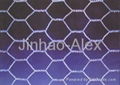 Hexagonal Wire Mesh 4