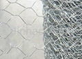 Hexagonal Wire Mesh 5