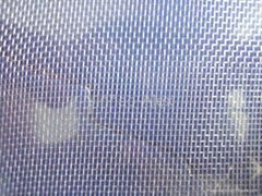 Window Screen