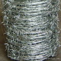 Barbed Wire