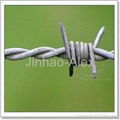 Barbed Wire 4