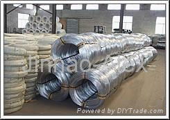 Galvanized Wire 3