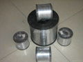 Stainless Steel Wire 2