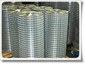 Welded Wire Mesh