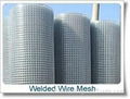 Welded Wire Mesh 2