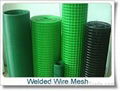 Welded Wire Mesh 3