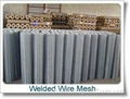 Welded Wire Mesh 4