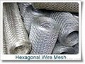 Hexagonal Wire Mesh  Factory 3