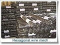 Hexagonal Wire Mesh  Factory 4