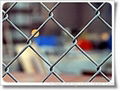 Chain Link Fence