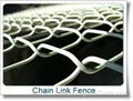 Chain Link Fence  3