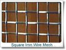 Square Iron Wire Mesh  3