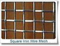 Square Iron Wire Mesh  3