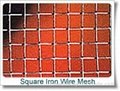 Square Iron Wire Mesh  5
