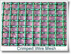 Crimped Wire Mesh  5