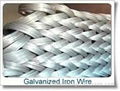 Galvanized iron wire factory  2