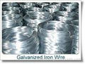 Galvanized iron wire factory  4