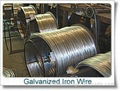 Galvanized iron wire factory  5