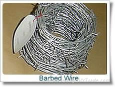 Galvanized Barbed Iron Wire  4