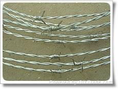 Galvanized Barbed Iron Wire  5