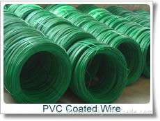 PVC Coated Wire  2