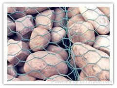 Gabions Mesh  2