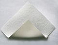 Polyvinyl Chloride(PVC) Waterproofing Membrane 1
